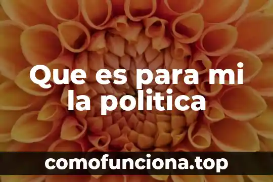 Qué es el número de ID de mi INE 8 Que es para mi la politica