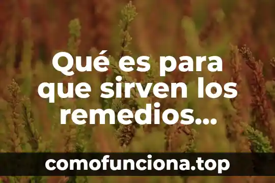 Que es bueno para el vomito remedios caseros 3 Qu茅 es para que sirven los remedios caseros