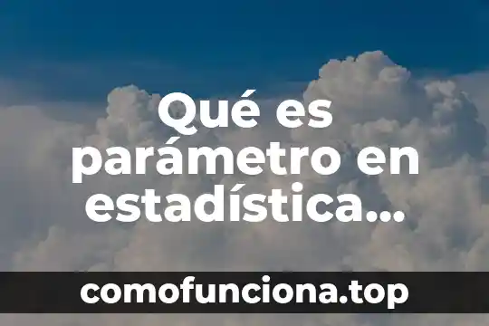 Qué es un lactante definición 3 Qué es parámetro en estadística definición