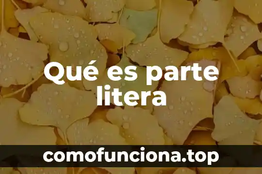 Que es el principio de instancia de parte agraviada 3 Qué es parte litera
