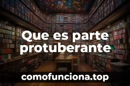 Que es el principio de instancia de parte agraviada 7 Que es parte protuberante