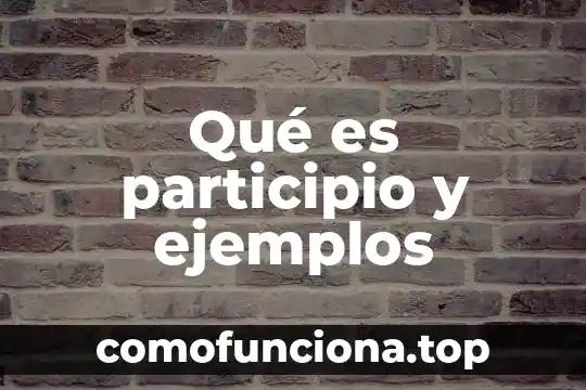 Ejemplos de que es el agente causal 6 Qué es participio y ejemplos