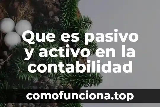 Que es ser un lider pasivo 4 Que es pasivo y activo en la contabilidad
