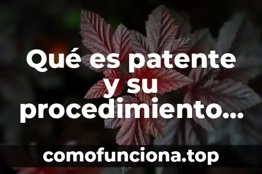 Patente electronica que es 6 Qué es patente y su procedimiento de registro