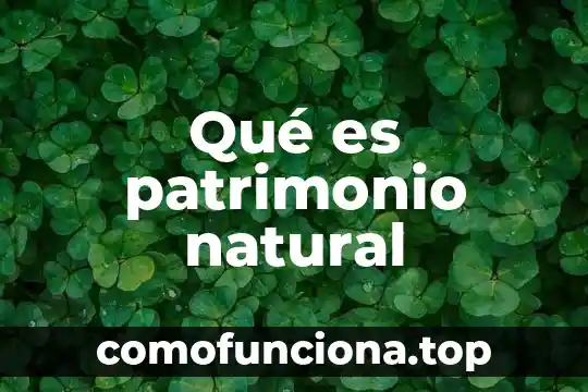 Que es contaminacion natural y antropogenica 3 Qué es patrimonio natural