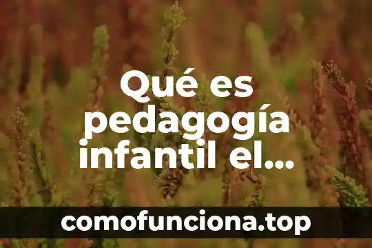 Qué es el concepto del deporte de juego 6 Qué es pedagogía infantil el juego