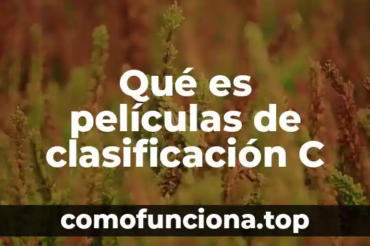 Películas historia de una maestra de kinder que es alcohólica 5 Qué es películas de clasificación C