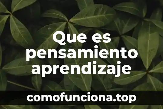 Para que es importante fundamentar las habilidades de pensamiento 3 Que es pensamiento aprendizaje