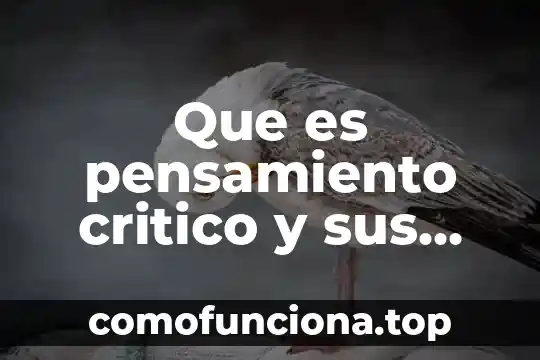Que es punto critico ppt 8 Que es pensamiento critico y sus elementos