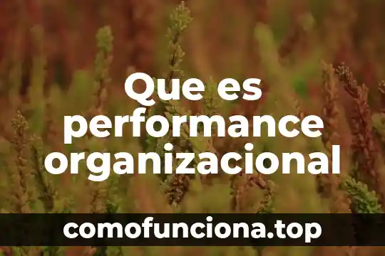 Que es estructura organizacional matricial 7 Que es performance organizacional