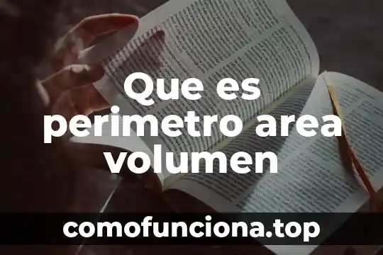 Ejemplo que es perimetro en una figura 5 Que es perimetro area volumen