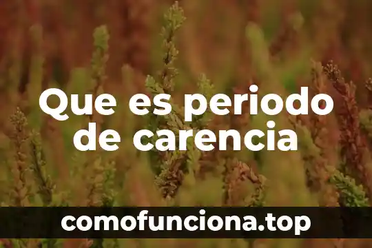 Que es el periodo plioceno 6 Que es periodo de carencia