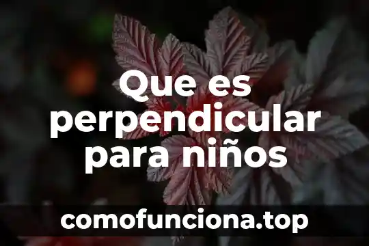Que es molcajete para niños 7 Que es perpendicular para niños