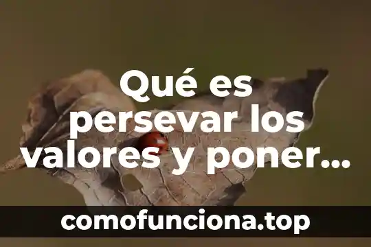 Como poner en Word que es la respuesta correcta 6 Qué es persevar los valores y poner 2 ejemplos