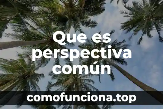 Que es la teoria perspectiva autocratica 3 Que es perspectiva común