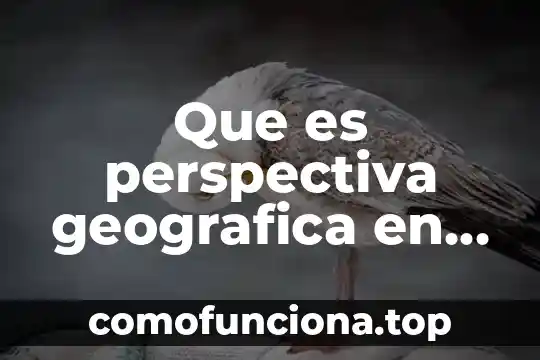 Qué es modo wide 6 Que es perspectiva geografica en un trabajo de investigacion