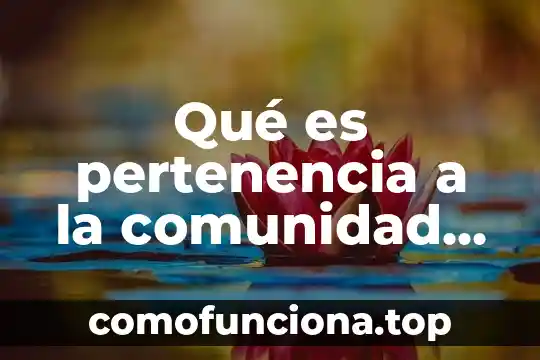 Que es percepcion filosofia 3 Qué es pertenencia a la comunidad en filosofía