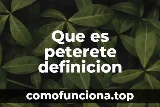Qué es definición de lógica 8 Que es peterete definicion