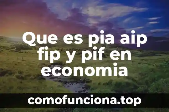 Qué es economía humana celular 3 Que es pia aip fip y pif en economia