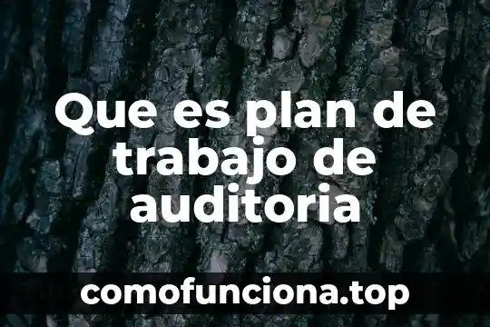Que es un plan de obras municipal 3 Que es plan de trabajo de auditoria