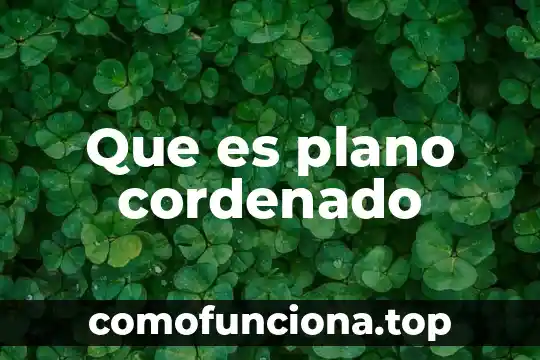 Que es condiloma plano 8 Que es plano cordenado