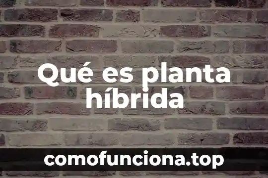 Que es la yemula de una planta 4 Qué es planta híbrida