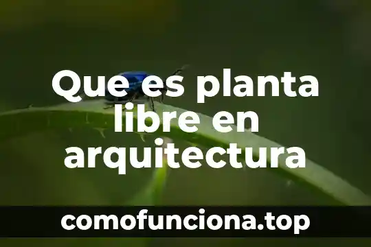 Que es sales tracic manager vidanta 4 Que es planta libre en arquitectura