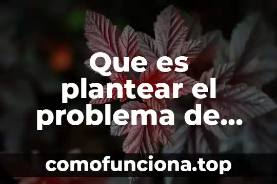 Que es un concepto sampieri 3 Que es plantear el problema de investigacion segun sampieri