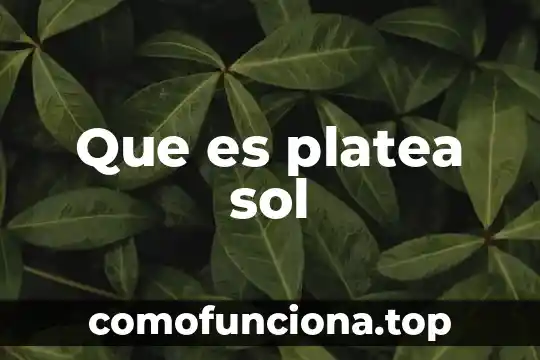 Qué es el fenómeno del sol de medianoche 6 Que es platea sol