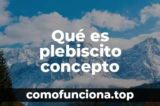 Concepto de lo que es desarrollo 7 Qué es plebiscito concepto