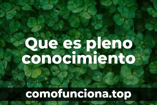 Qué es lo que distingue a un conocimiento 5 Que es pleno conocimiento