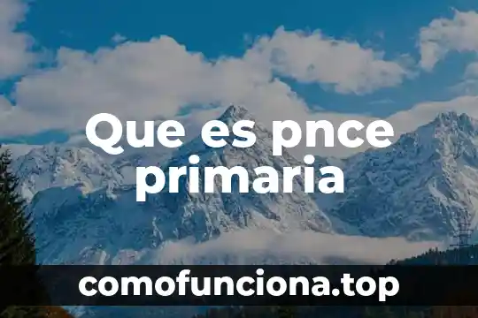 Que es una gestion de almacen 5 Que es pnce primaria