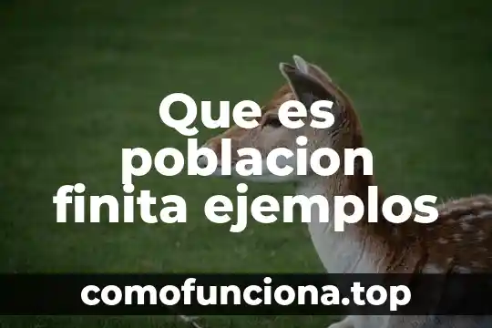 Qué es denotación y connotación con ejemplos 6 Que es poblacion finita ejemplos