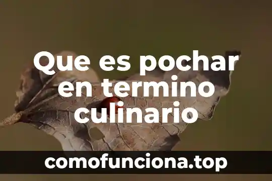 Qué es el término anglosajón 5 Que es pochar en termino culinario