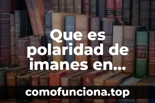 Qué es polaridad en filosofía 5 Que es polaridad de imanes en física
