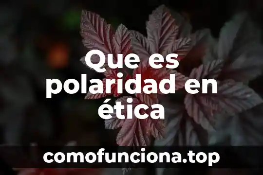 Qué es polaridad en filosofía 6 Que es polaridad en ética