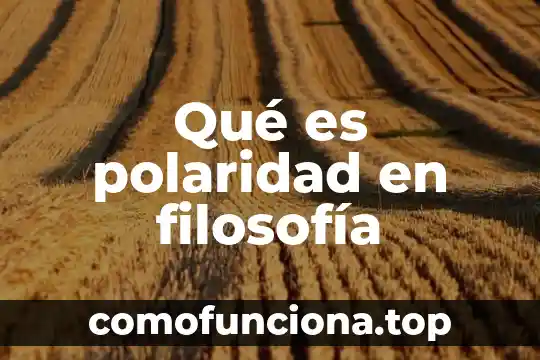 Que es polaridad en ética 6 Qué es polaridad en filosofía