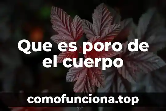 Que es la trallectorra del cuerpo 5 Que es poro de el cuerpo