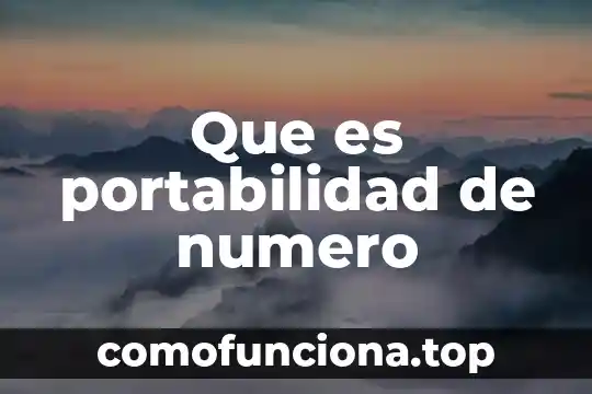 Que es el numero nui 7 Que es portabilidad de numero