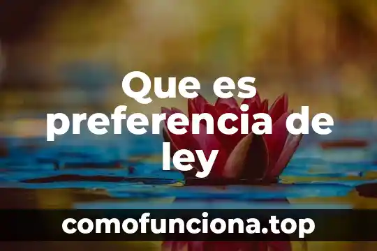 Que es el derecho ocupacion o preferencia 4 Que es preferencia de ley