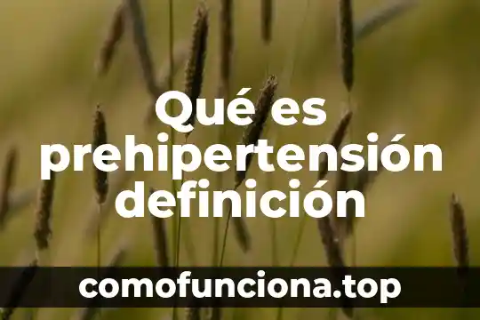 Que es un programa de procesador de texto 7 Qué es prehipertensión definición