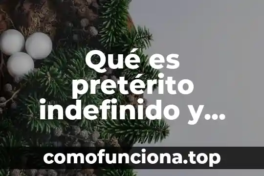 Que es preterito para niño de 3c 6 Qué es pretérito indefinido y ejemplos