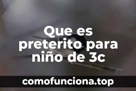 Qué es el tiempo pretérito perfecto 5 Que es preterito para niño de 3c