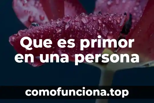 Que es un logotipo con autor 7 Que es primor en una persona