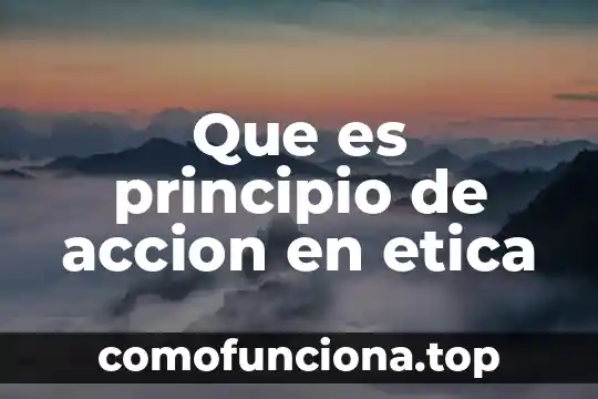 Que es un principio de acción en amparo 6 Que es principio de accion en etica