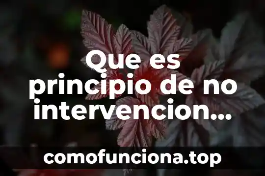 Que es un principio de acción en amparo 3 Que es principio de no intervencion mexico