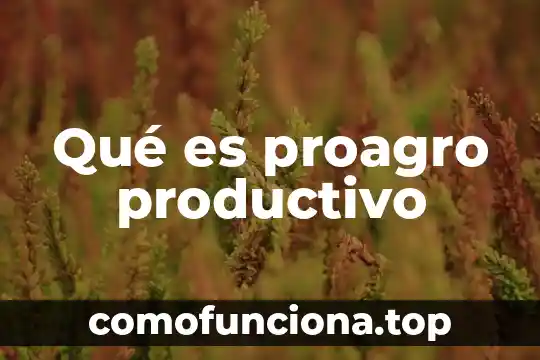 Diagramas de que es un productivo 7 Qué es proagro productivo