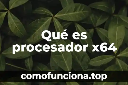 Que es procesador spd 3 Qué es procesador x64