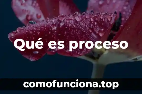 Que es el proceso de adquisicion de territorio deshabitado historia 7 Qu茅 es proceso