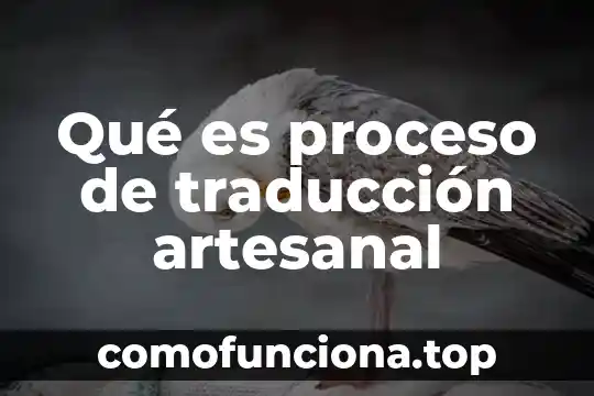 Qué es el corte internacional de la onu 7 Qué es proceso de traducción artesanal